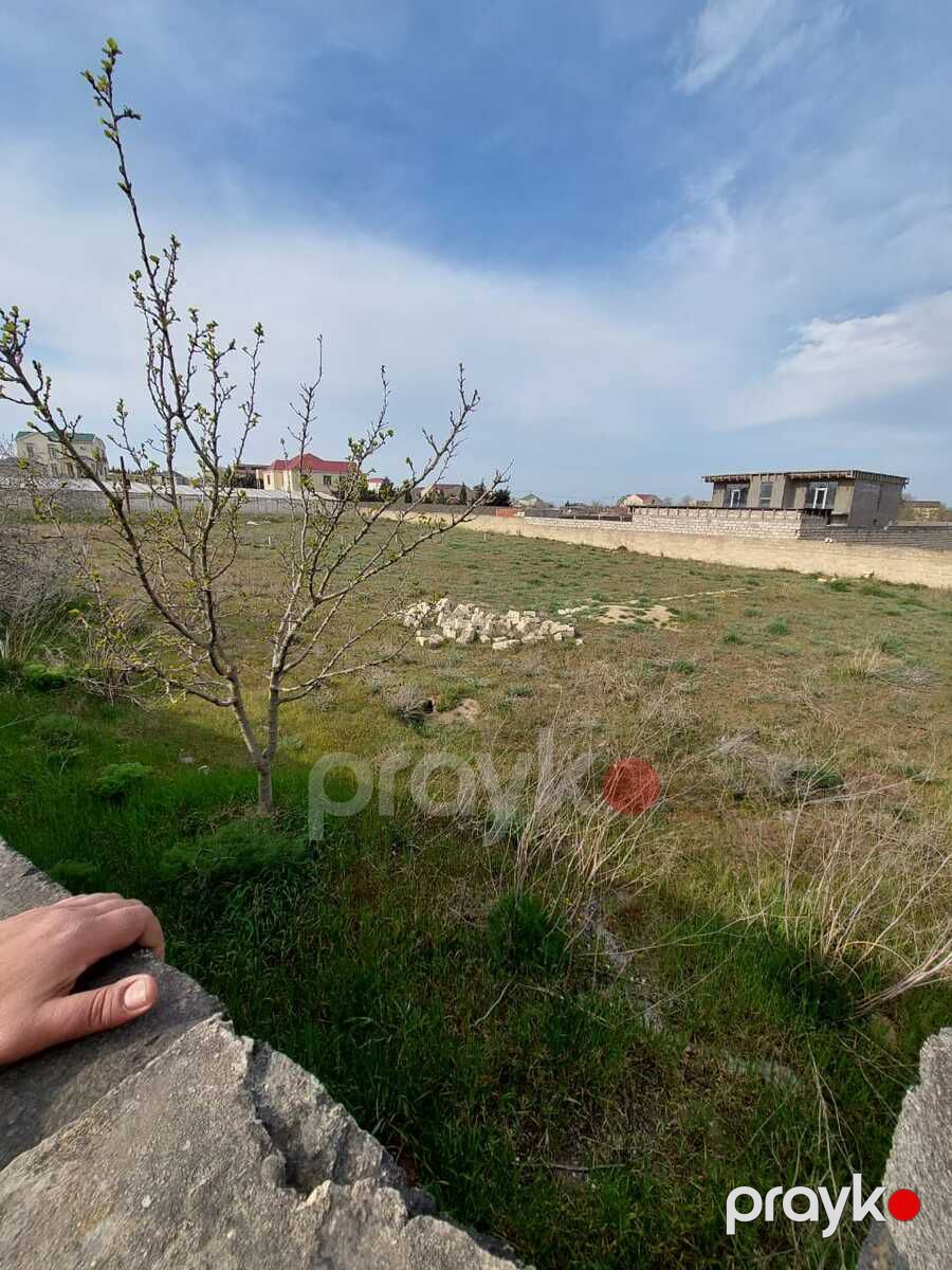 Satılır torpaq 12 sot — Torpaq, Bakı (9)