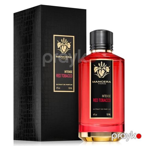 No Brand Intense Red Tobacco uniseks ətir suyu 120 ml - unique_market4000243 — Bakı