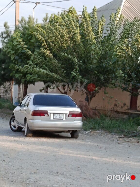Nissan Sunny, 1.6 L, 1997 il, 350 000 km — Avtomobillər, Gəncə (2)