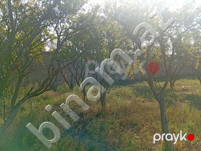 21 sot Torpaq, Satış, Bakı, Sabunçu — Torpaq, Bakı (6)