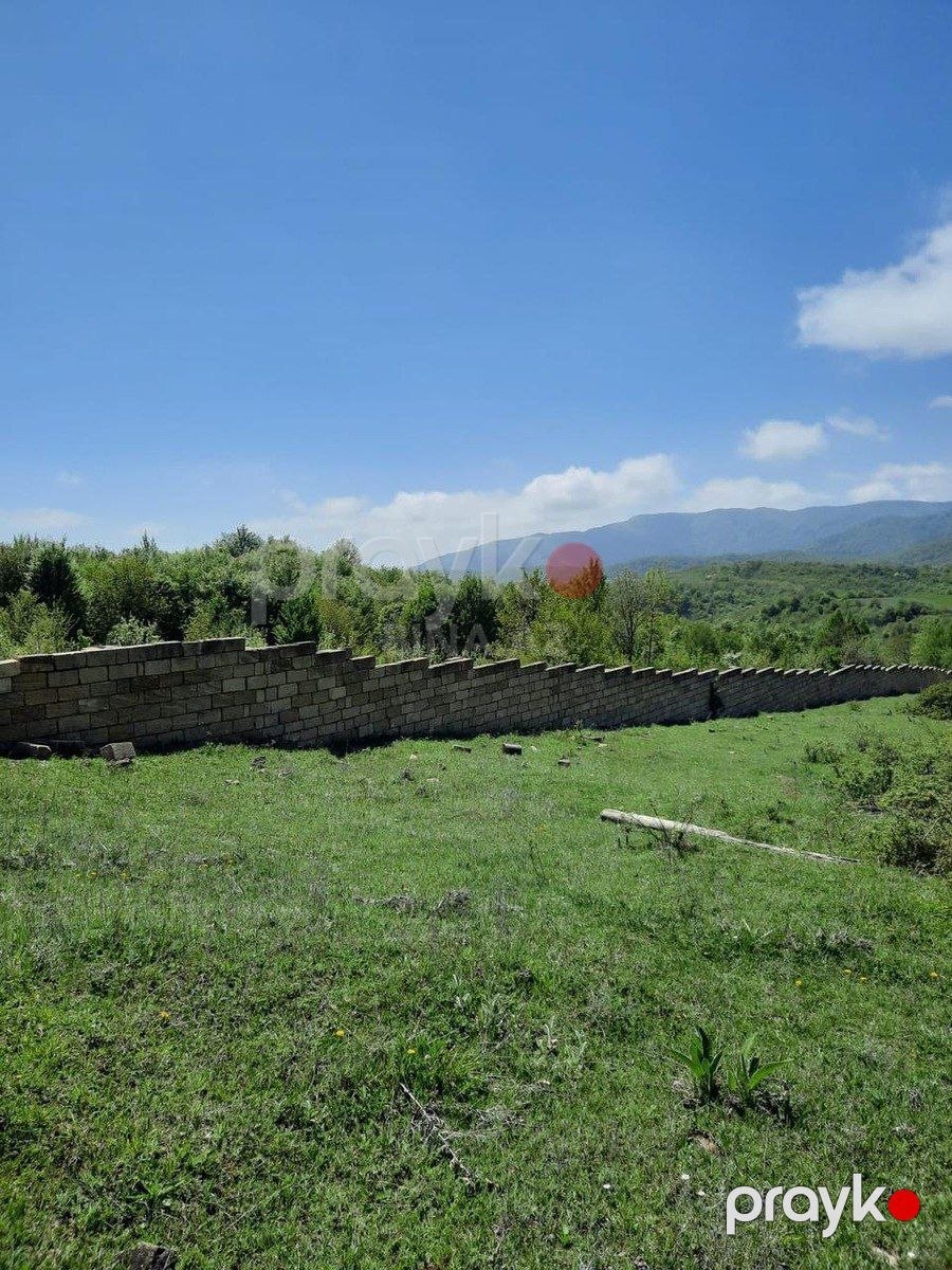 Satılır torpaq 22 sot — Torpaq, Şamaxı (2)