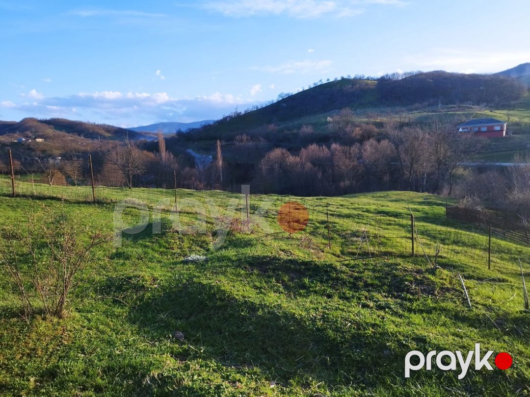 24 sot torpaq sahəsi, Quba r — Torpaq, Quba (9)