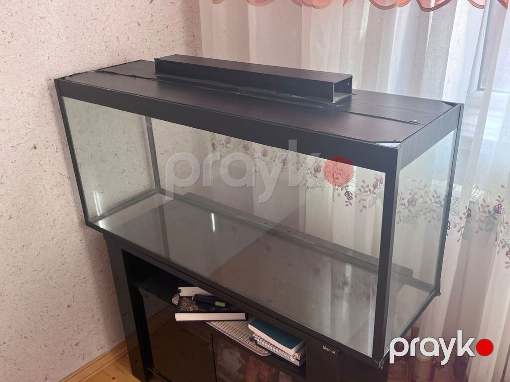 Hazır akvarium komplekti satılır\. Akvariumla birlikdə filtr — Akvariumlar və balıqlar, Bakı (3)