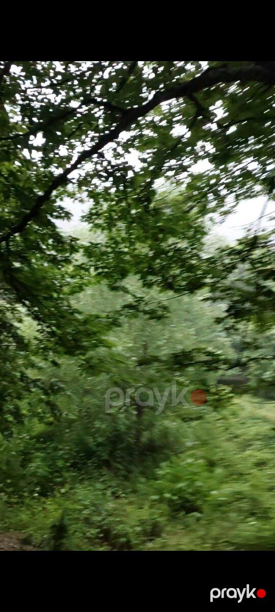 11000 sot torpaq sahəsi, Şamaxı r — Torpaq, Şamaxı (3)