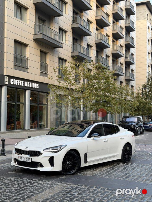 Kia Stinger, 2.2 L, 2019 il, 131 500 km — Avtomobillər, Bakı (8)