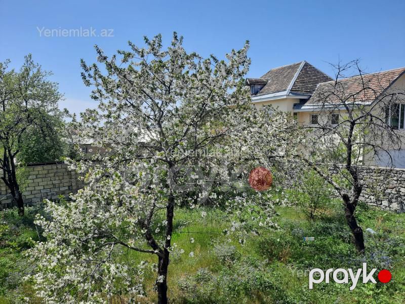 Satılır 4 otaqlı Həyət evi / Villa, 500 m², Şəki — Ev, villa, Şəki (6)