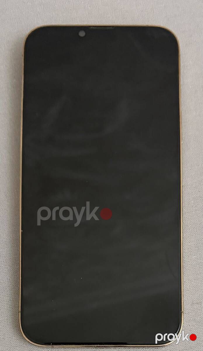 Apple iPhone 13 Pro Max Gold 128GB/6GB — Smartfonlar, Bakı (2)