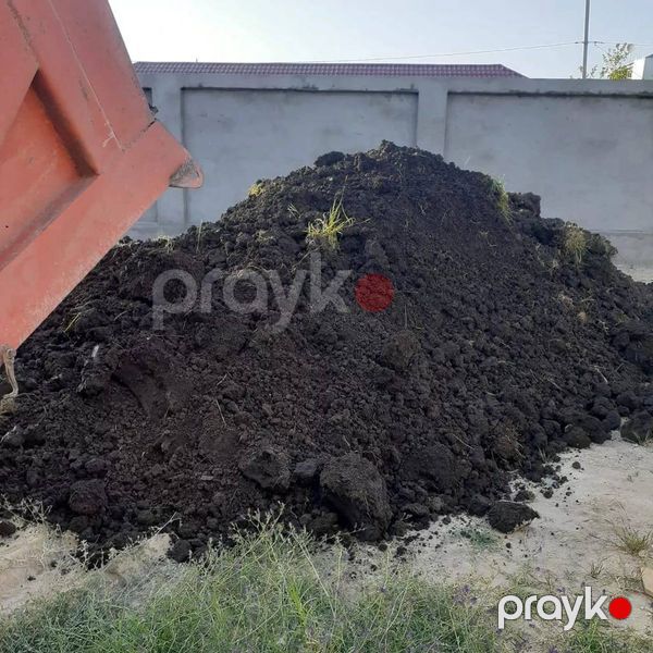 Qara torpaq və peyin — Dacha və bağ, İsmayıllı (3)