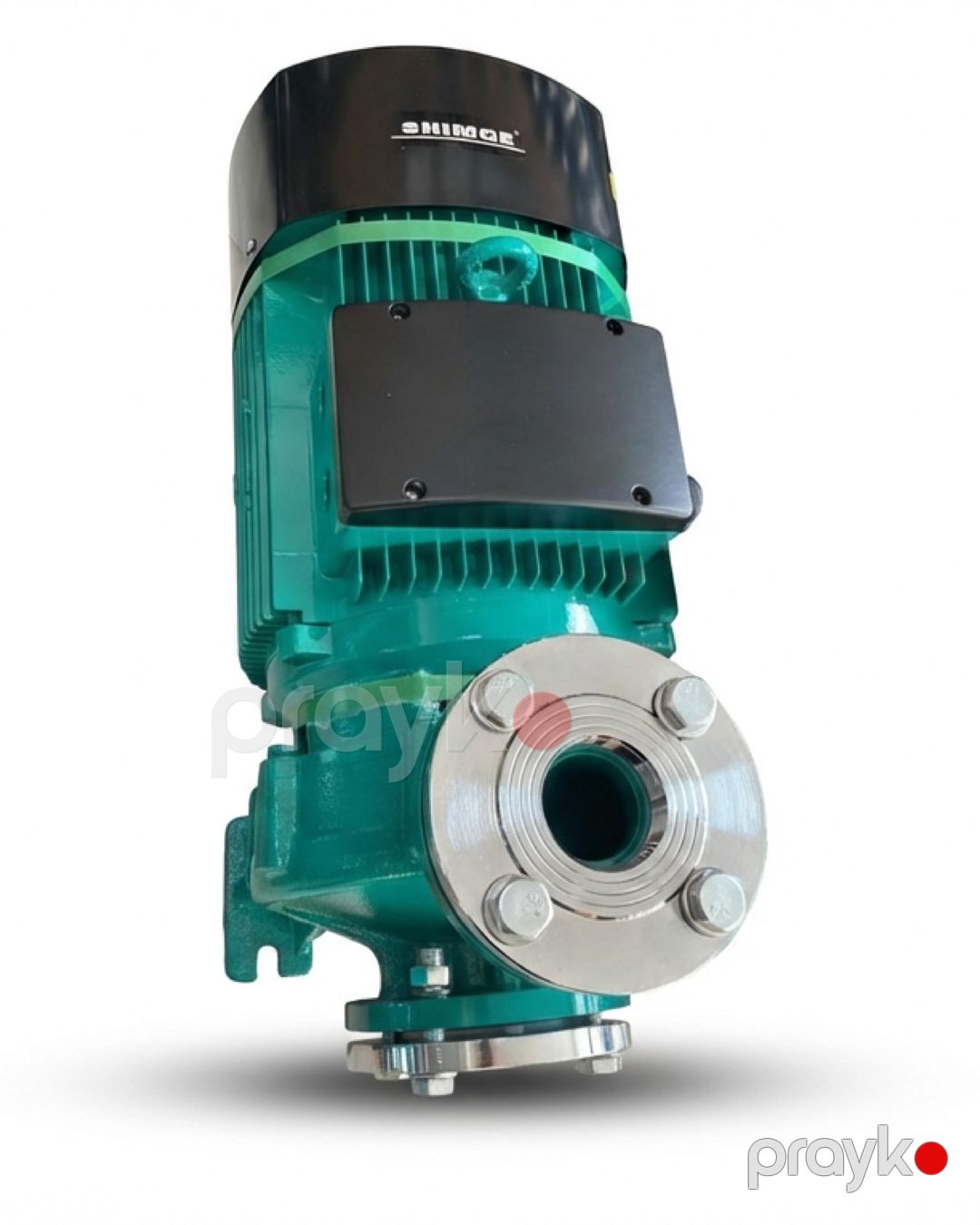 Səthi nasos Shimge 15kW SGT50-250/15 — Mallar, Bakı (2)