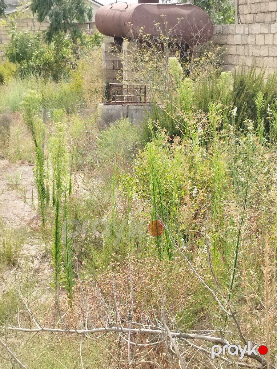 Satılır torpaq 12 sot — Torpaq, Bakı (12)