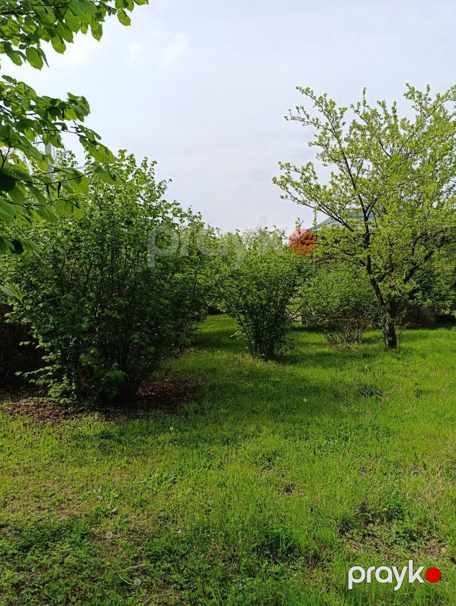 Satılır 4 otaqlı həyət evi/bağ evi 110 m² — Ev, villa, Oğuz (3)