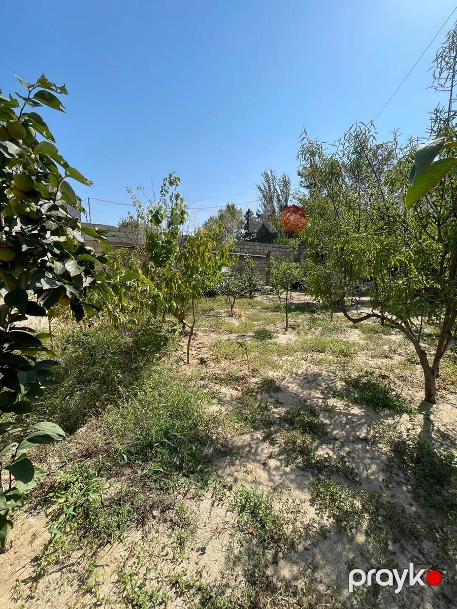 Satılır 5 otaqlı həyət evi/bağ evi 165 m² — Ev, villa, Bakı (4)
