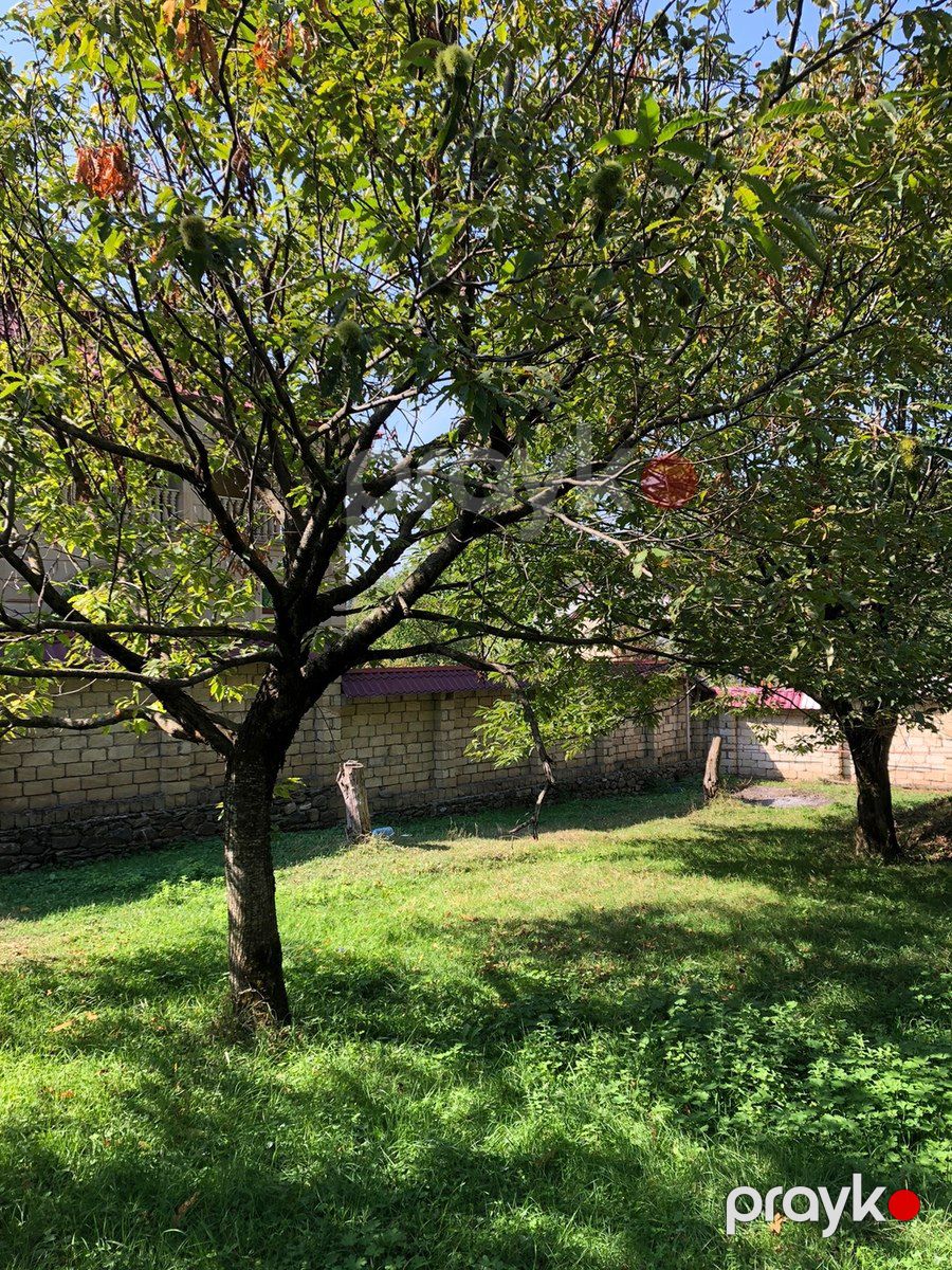 7 sot torpaq sahəsi, Qəbələ r — Torpaq, Qəbələ (9)