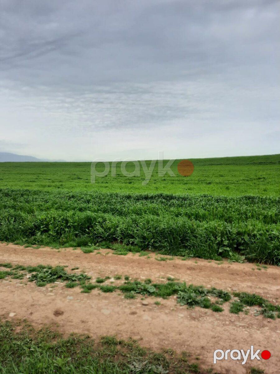 10000 sot torpaq sahəsi, Siyəzən r — Torpaq, Siyəzən (3)