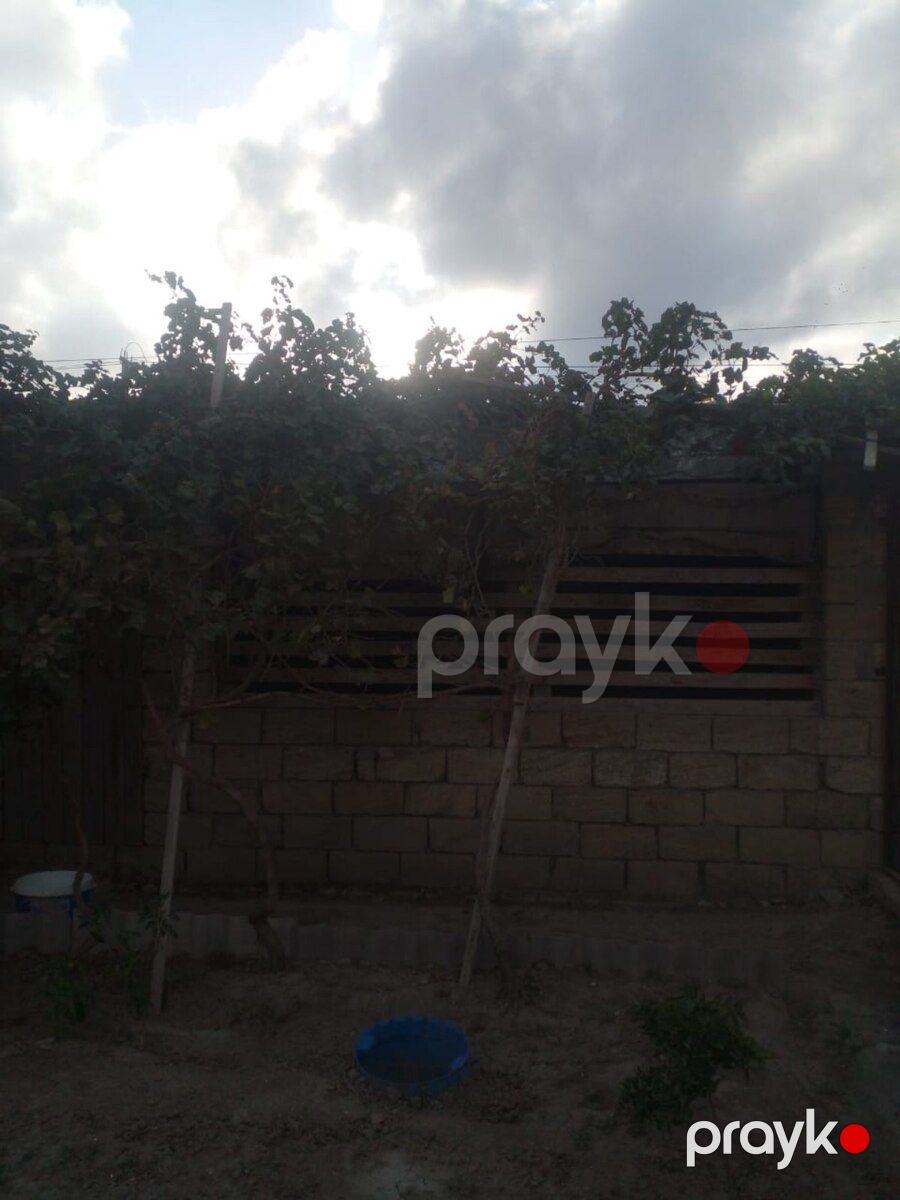 Həyət evi, Neftçala r — Ev, villa, Neftçala (4)