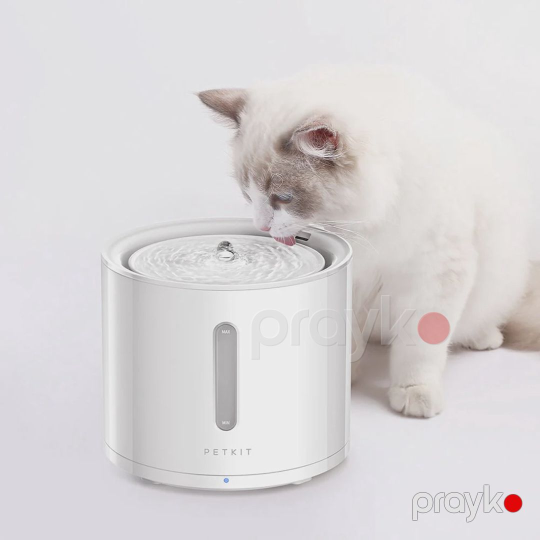 Ağıllı su təknəsi Petkit Eversweet Solo 2, itlər və pişiklər üçün, ABS plastik, 2 l — Mallar, Bakı (3)