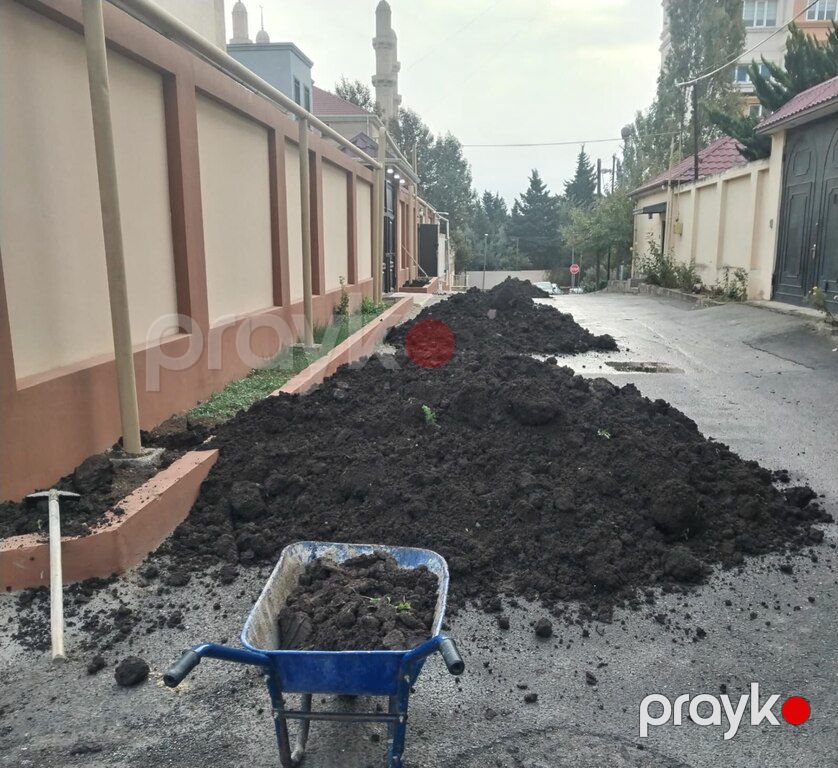 Qara torpaq və peyin — Dacha və bağ, İsmayıllı (5)