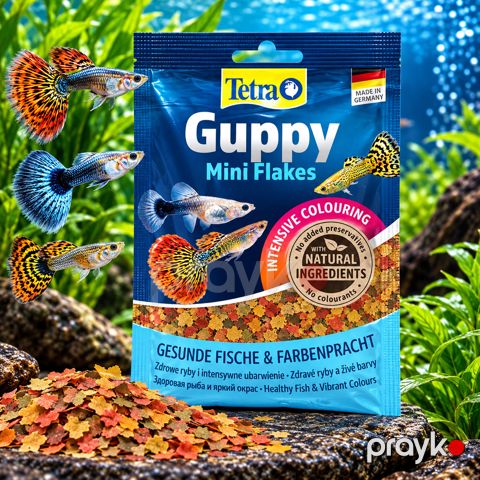 Balıqlar üçün quru yem Tetra Guppy Mini Flakes — Bakı