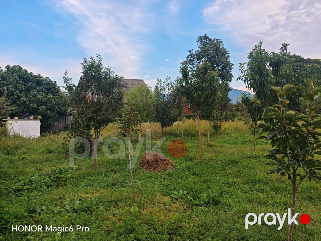 9 sot torpaq sahəsi, Zaqatala r — Torpaq, Zaqatala (2)