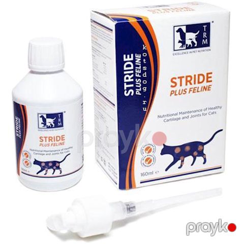 Sirop Stride Plus Feline, pişiklər üçün, istinad-hərəkət aparatının müalicəsi və dəstəyi üçün, 160 ml — Bakı