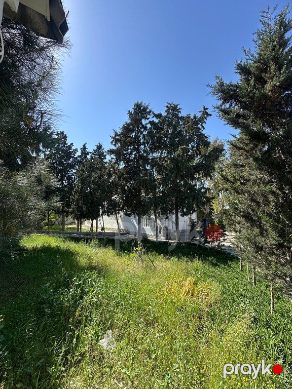 11 sot torpaq sahəsi, Şüvəlan qəs — Torpaq, Bakı (4)