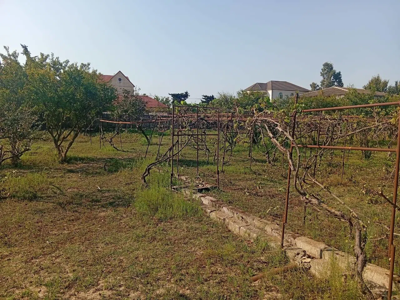 21 sot torpaq sahəsi satılır — Torpaq, Bakı (2)