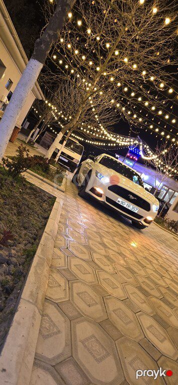 Ford Mustang, 2.3 L, 2015 il, 320 000 km — Sabirabad