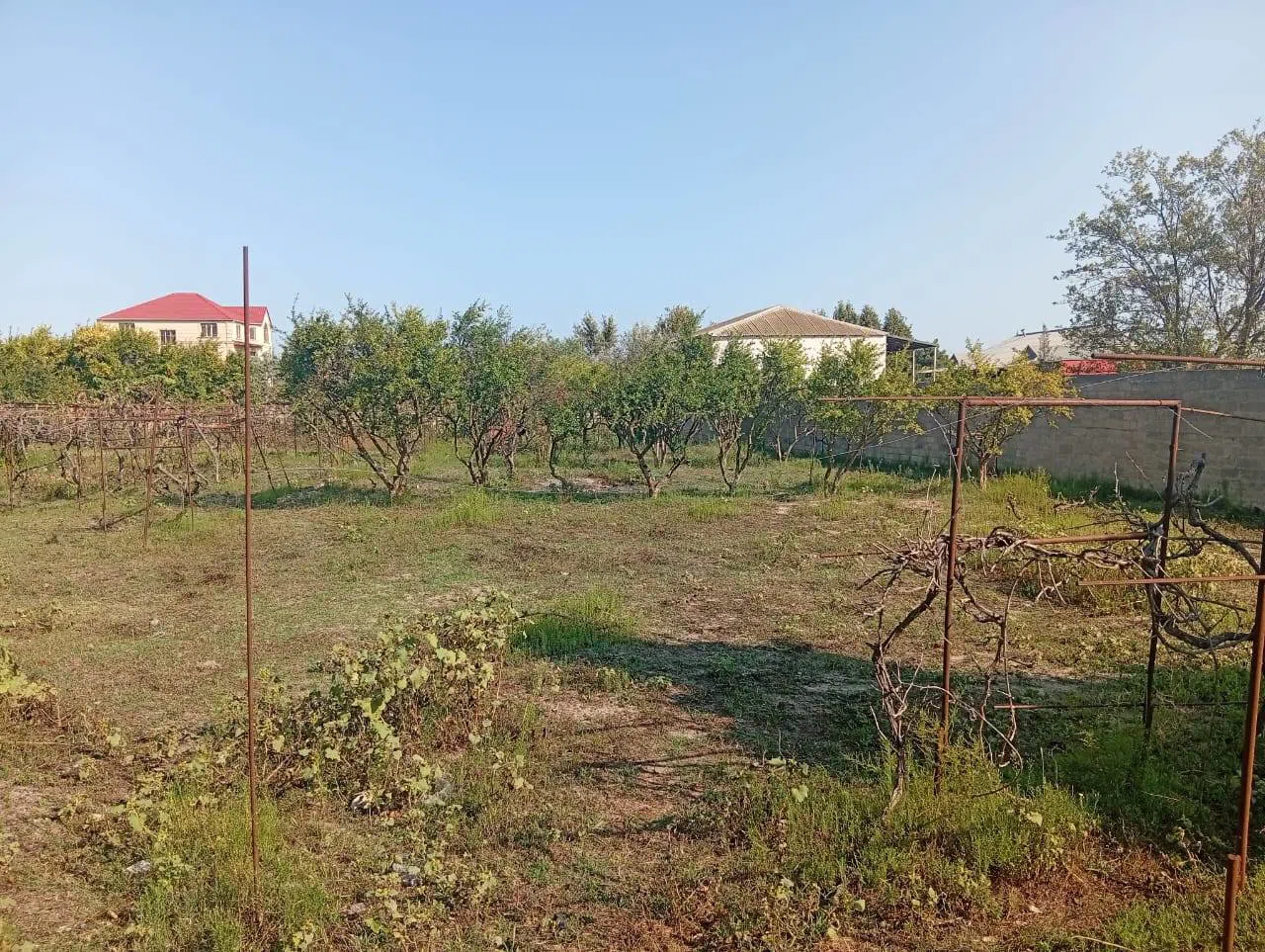 21 sot torpaq sahəsi satılır — Torpaq, Bakı (7)