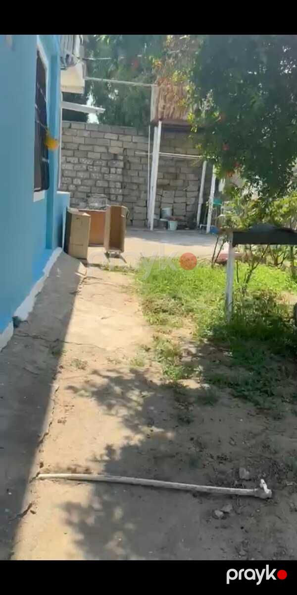 5.3 sot torpaq sahəsi, Bakıxanov qəs — Torpaq, Bakı (7)