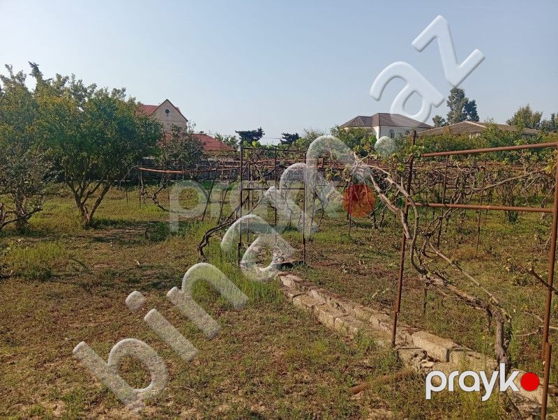 21 sot Torpaq, Satış, Bakı, Sabunçu — Torpaq, Bakı (3)