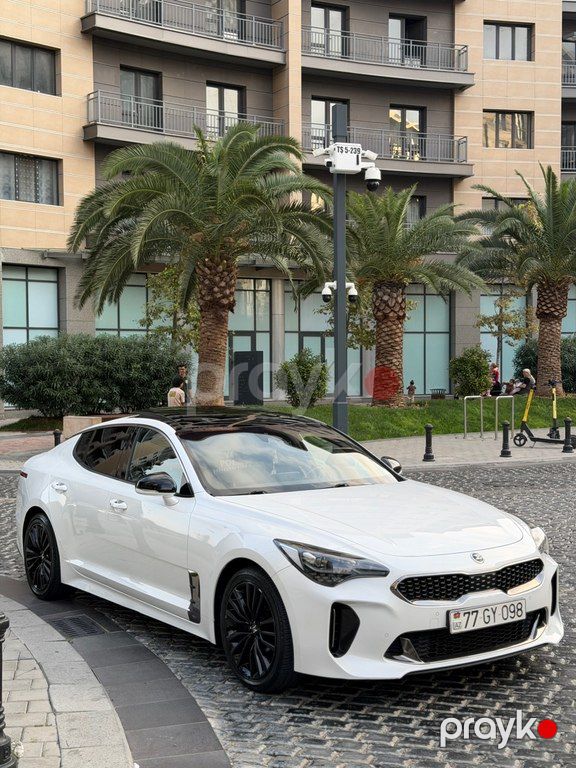Kia Stinger, 2.2 L, 2019 il, 131 500 km — Avtomobillər, Bakı (2)
