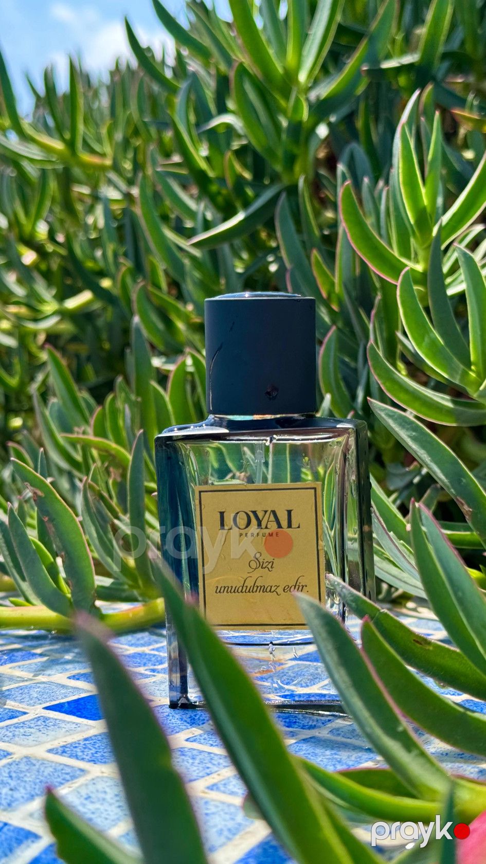 Loyal Perfume Sirrah uniseks ətir suyu 50 ml — Mallar, Bakı