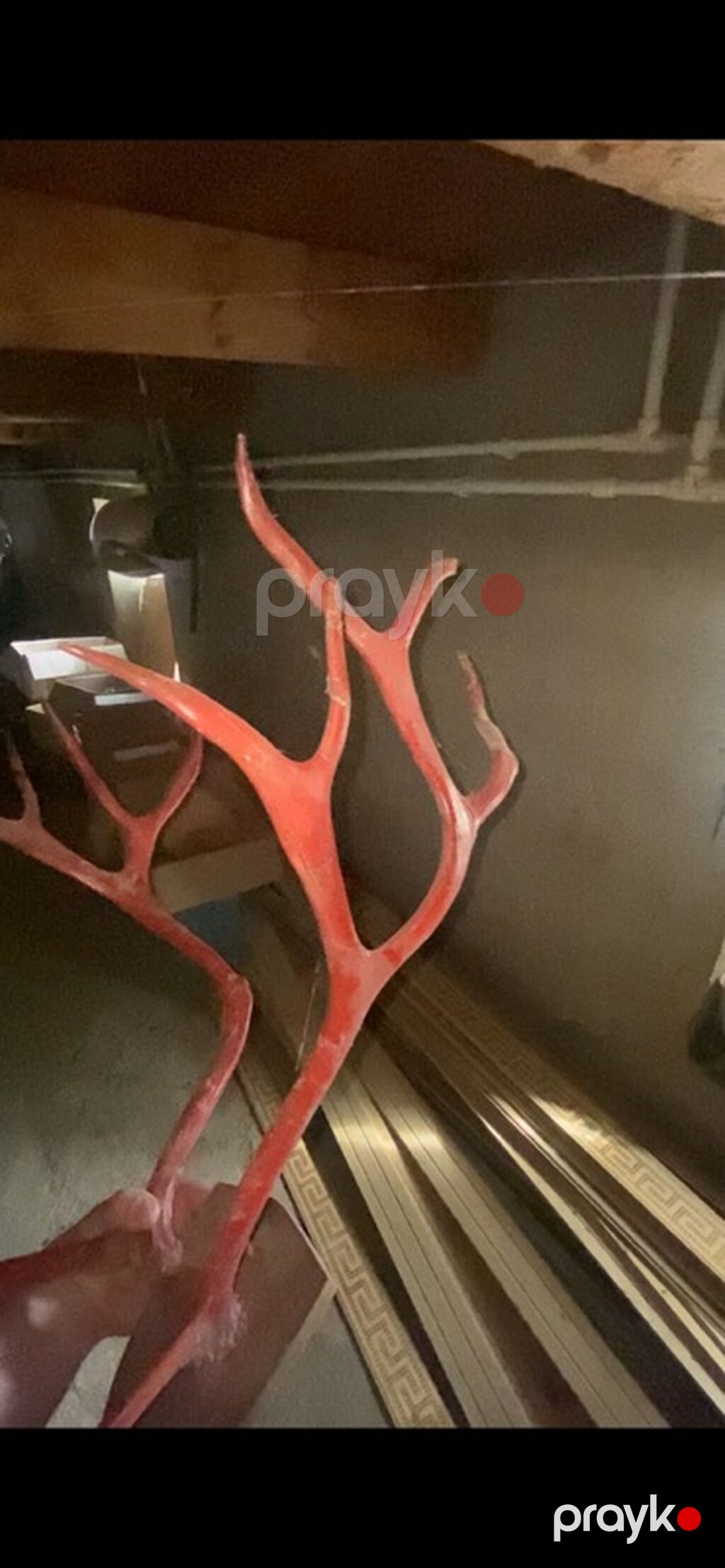 Qırmızı dekorativ “maral buynuzu” instalyasiyası - Material: yüngül — Digər, Mehdiabad (2)