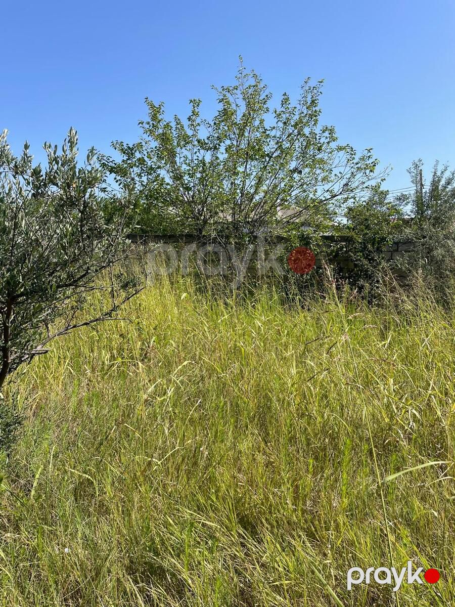 Satılır torpaq 12 sot — Torpaq, Bakı (7)