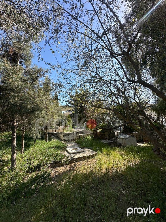 11 sot torpaq sahəsi, Şüvəlan qəs — Torpaq, Bakı (9)