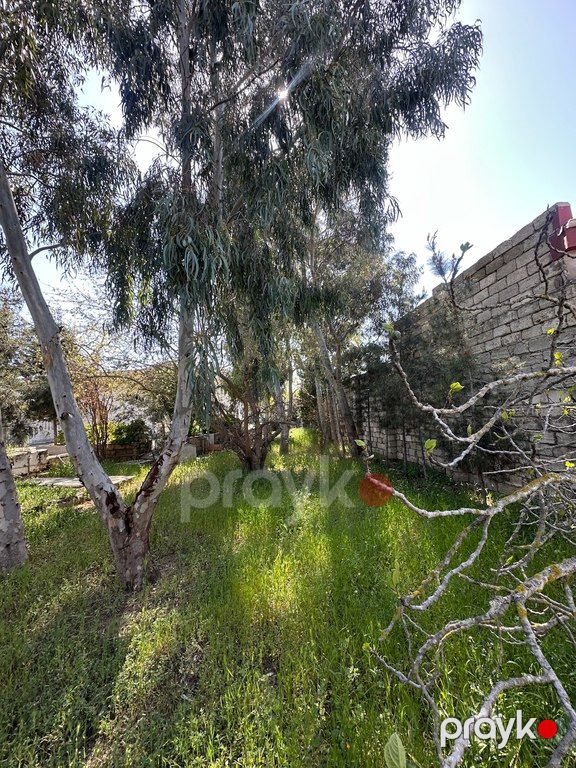 11 sot torpaq sahəsi, Şüvəlan qəs — Torpaq, Bakı (8)