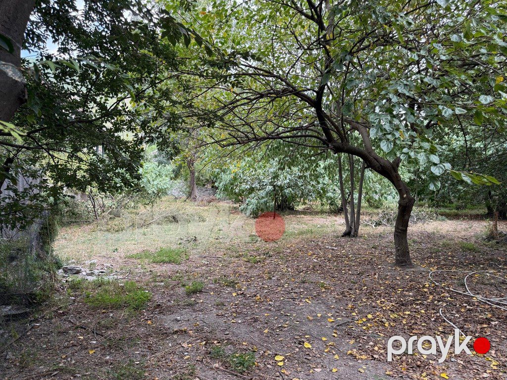Bağ evi, Şəki ş — Ev, villa, Şəki (2)