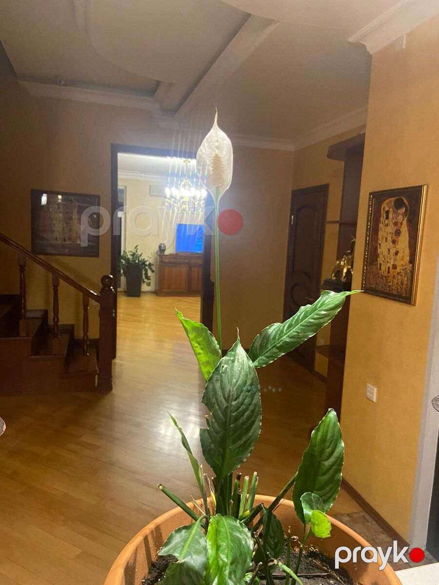 Satılır 5 otaqlı yeni tikili 200 m² — Mənzil, Bakı (4)
