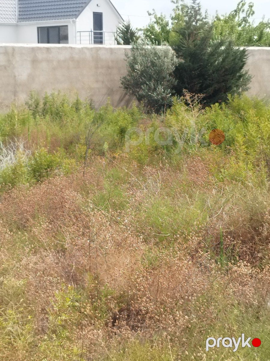 Satılır torpaq 12 sot — Torpaq, Bakı (8)