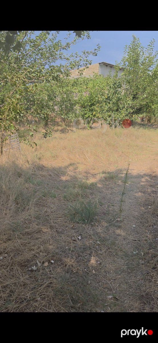 3 sot torpaq sahəsi, Saray qəs — Torpaq, Sumqayıt (4)