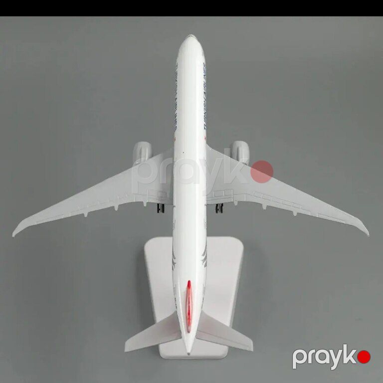 "Aircraft Turkish Airlines" modeli — Kolleksiyalar, Bakı (3)