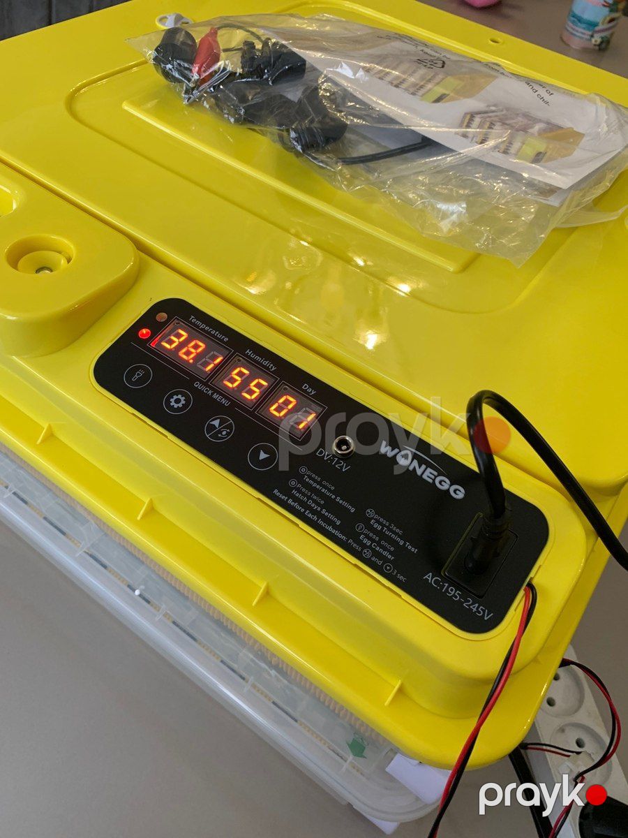 Inkubator — Biznes və avadanlıq, Bakı (6)