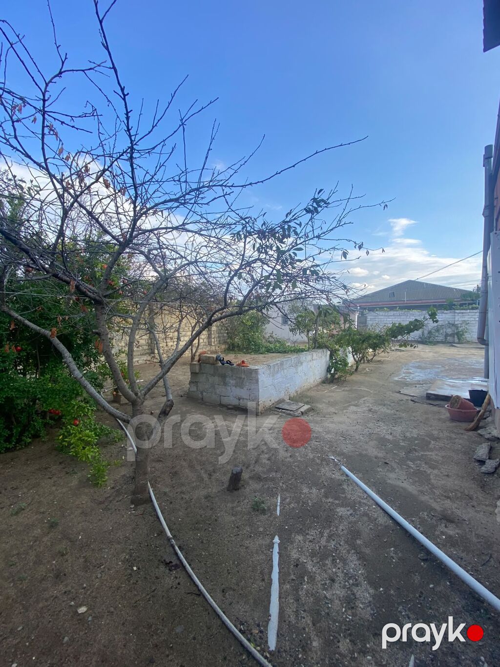 20 sot, Tikinti, Mülkiyyətçi, Kupça (Çıxarış) — Torpaq, Novxanı (5)