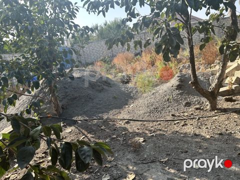 Satılır torpaq 5 sot — Ağdaş