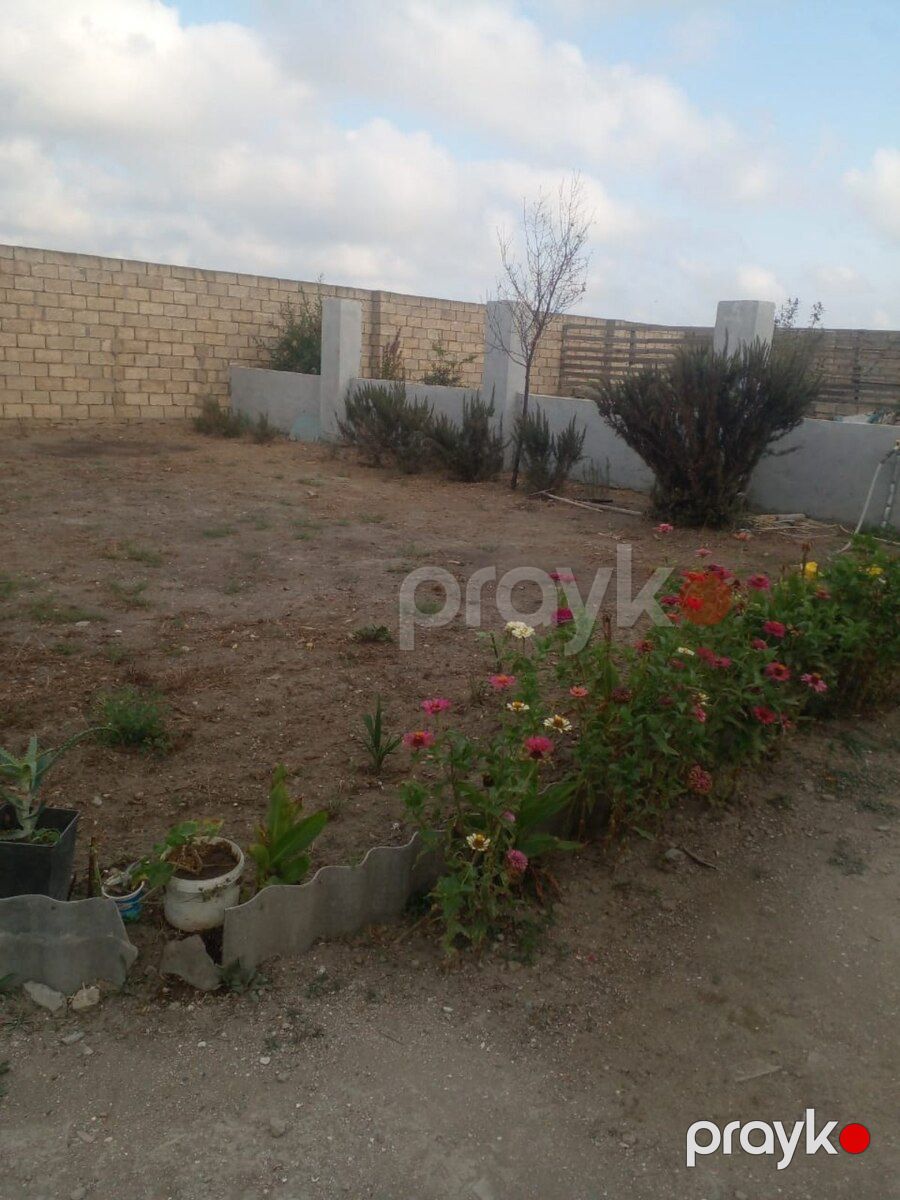 Həyət evi, Neftçala r — Ev, villa, Neftçala (6)