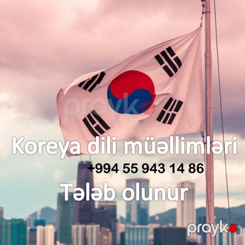Koreya dili müəllimləri tələb olunur — Bakı