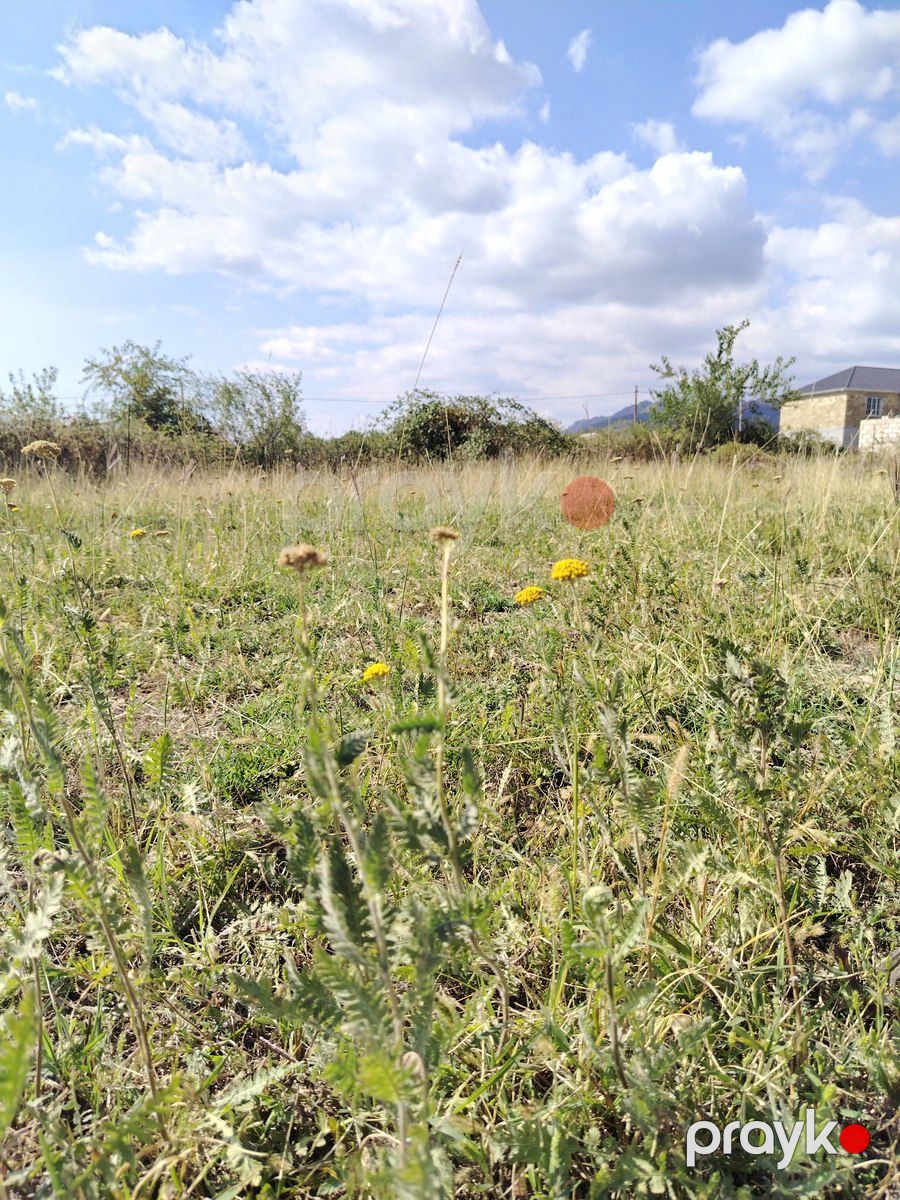 Satılır torpaq 5 sot — Torpaq, Qəbələ (12)