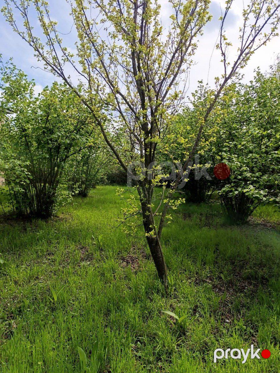 Satılır 4 otaqlı həyət evi/bağ evi 110 m² — Ev, villa, Oğuz (2)