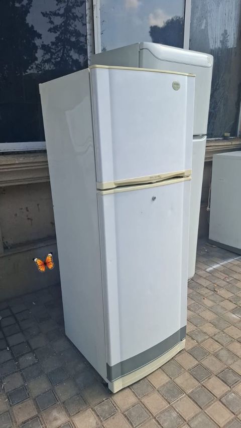 Goldstar soyuducu nofrost ağ 250m çatdirilma pulsuz. Samirə — Refrigerators