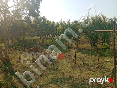 21 sot Torpaq, Satış, Bakı, Sabunçu — Bakı